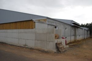 BERTHELOT CHARPENTE PORCHERIE ENGRAISSEMENT