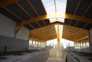 BERTHELOT CHARPENTES LAMELLE-COLLE