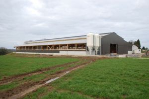 BERTHELOT CHARPENTES LAMELLE-COLLE