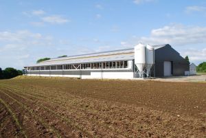 BERTHELOT CHARPENTES LAMELLE-COLLE