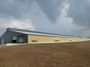 poulailler Berthelot Charpentes